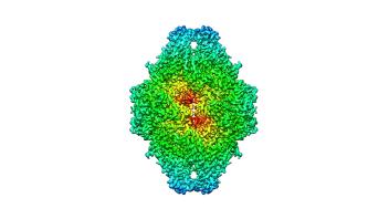 structure of bgal