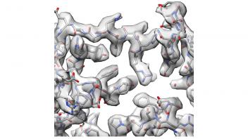 structure of bgal