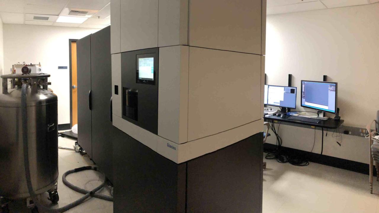ThermoFisher Glacios Biological Electron Microscopy Facility